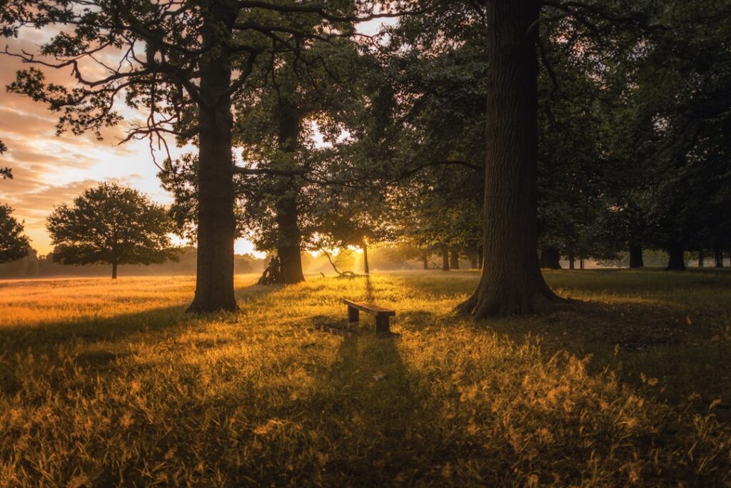 Photo Prairie landscape